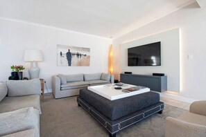 Smart TV, fireplace, books
