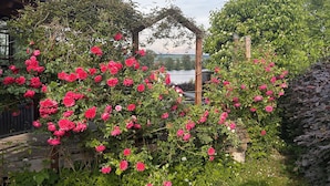A garden with a wooden pergola and blooming pink roses. - *Lake House* – an idyllic vacation home right on the lake with a terrace and a fireplace (Lauenförde)