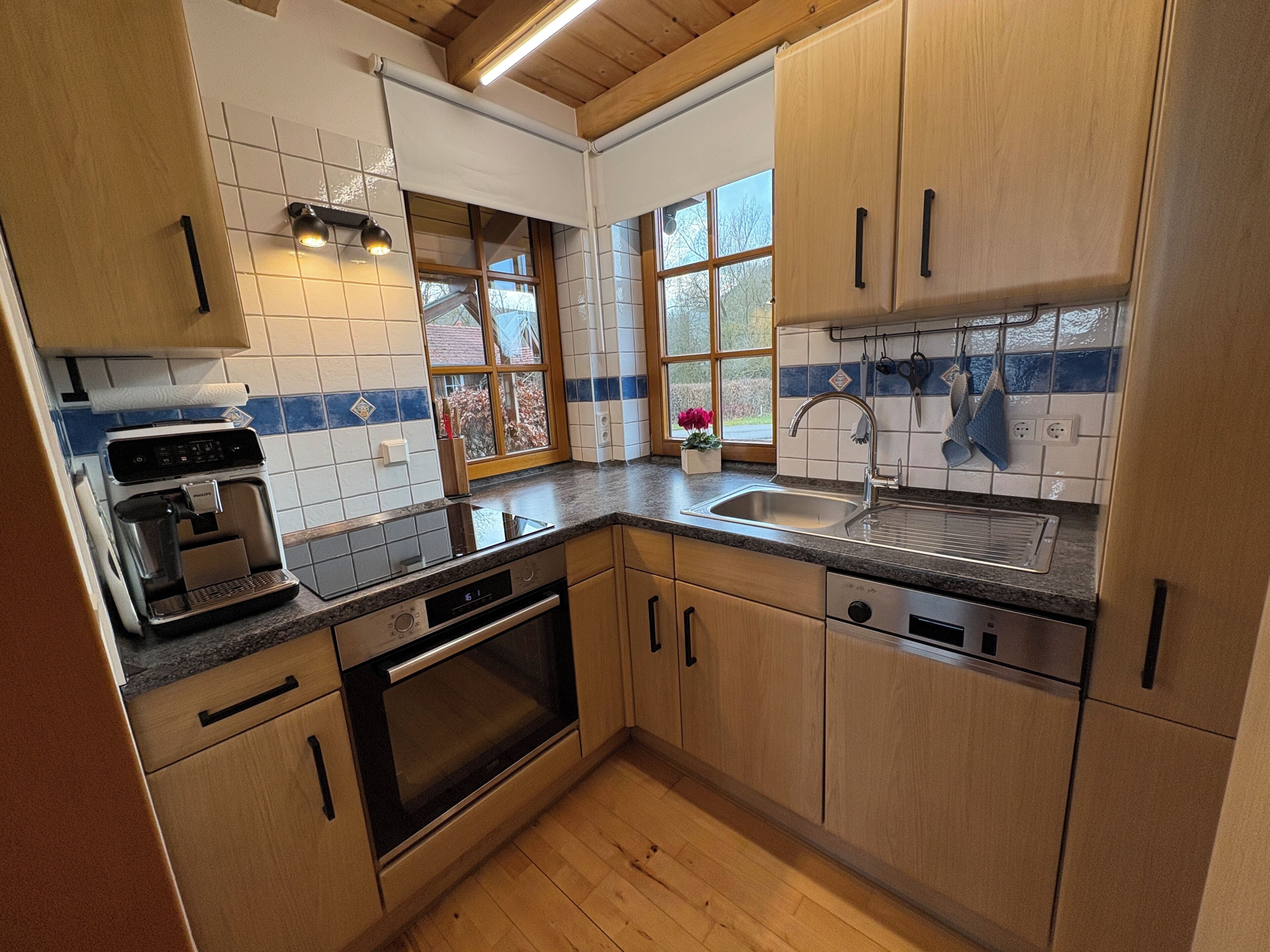 Kühlschrank, Ofen, Herdplatte, Geschirrspüler