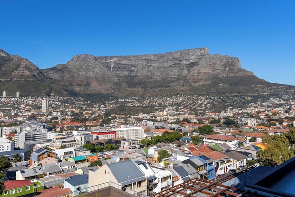 A cityscape with a prominent mountain in the background.
