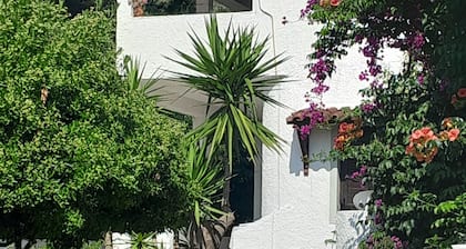 Charming studio in lovely Skiathos with WiFi, AC 400 m from Trulos beach