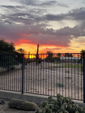 Property grounds - 4-bedroom house in beautiful San Tan Valley with Johnson ranch amenities (San Tan Valley)