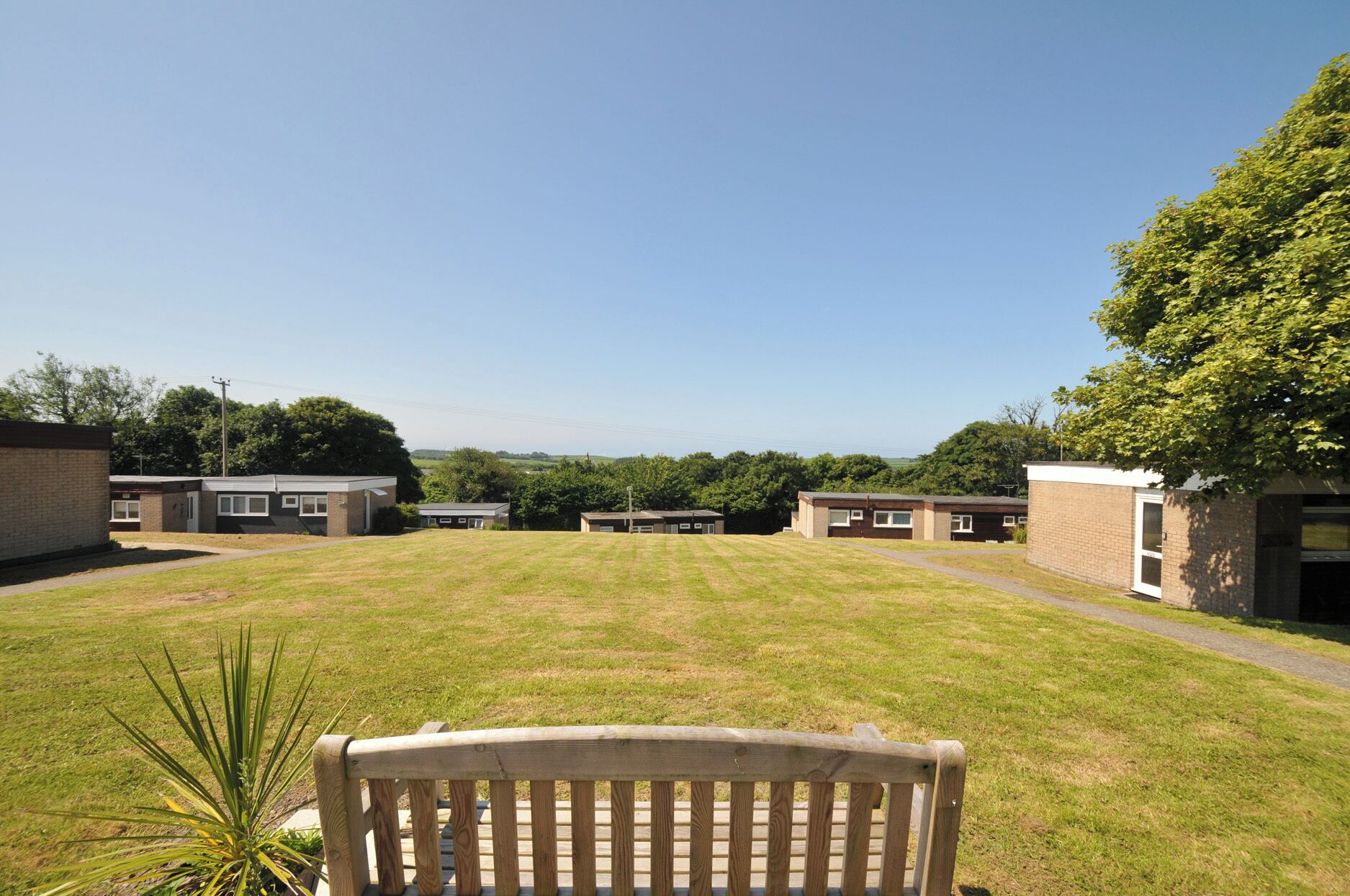 A grassy courtyard with a wooden bench, surrounded by buildings with windows and doors.