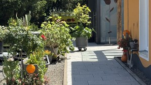 A garden pathway leading to a building with a yellow exterior wall.