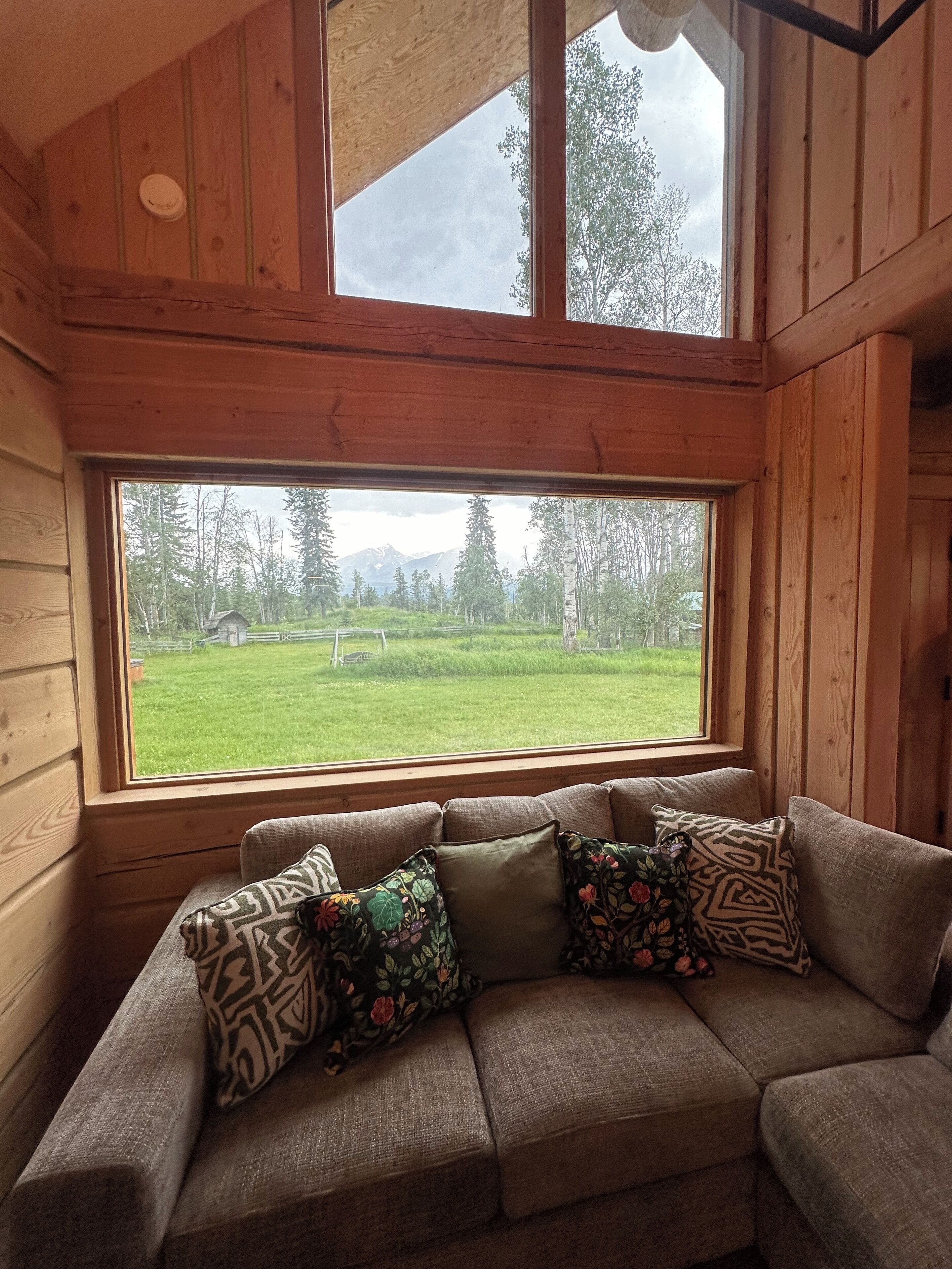 Älytelevisio, takka, kirjoja