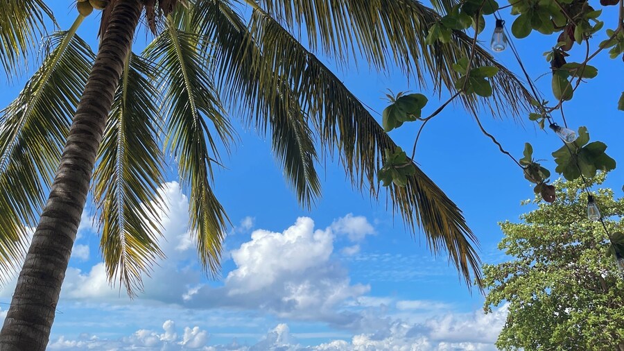 Tatak Balabac Beach Camp