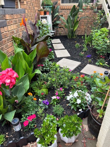 Cosy Private Entry Guest Suite with luscious garden- 6 Minutes to Airport