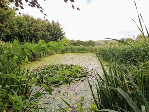 Cottage | Halaman properti