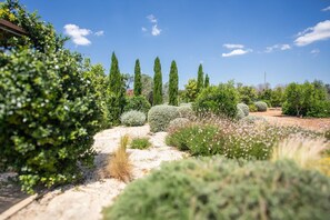 Property grounds - Trullo Gelso - Salento Reservation (Capilungo)