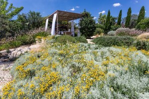 Property grounds - Trullo Gelso - Salento Reservation (Capilungo)