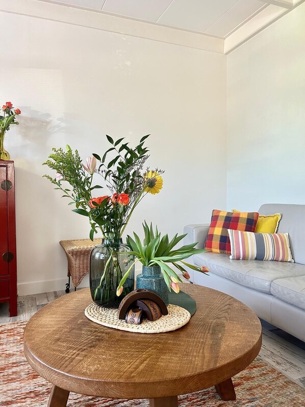 Smart TV - Rosy's Cottage. (Balk)