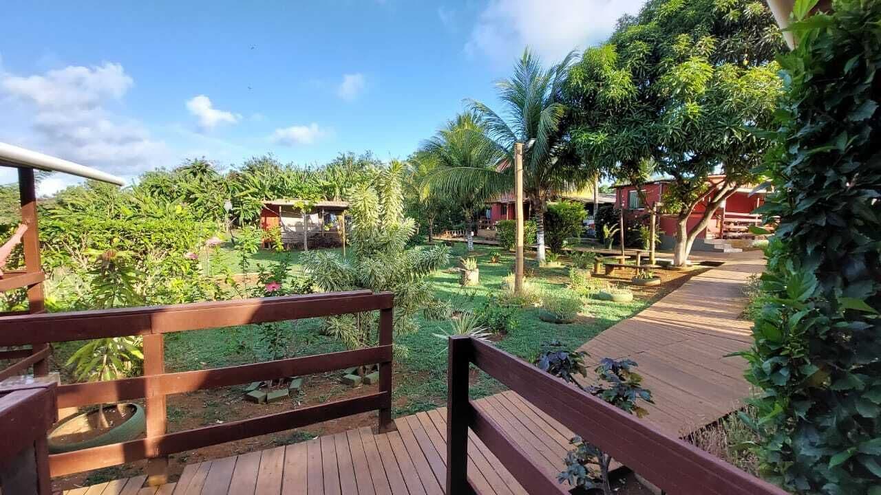 Una terraza de madera con vistas a un exuberante jardín, con palmeras y diversas plantas.