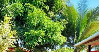 Pousada das Ilhas