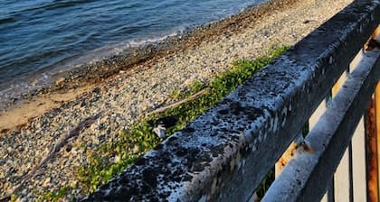 "The hidden Gem of PR" Seaside in Patillas, PR. Steps from the Beach.