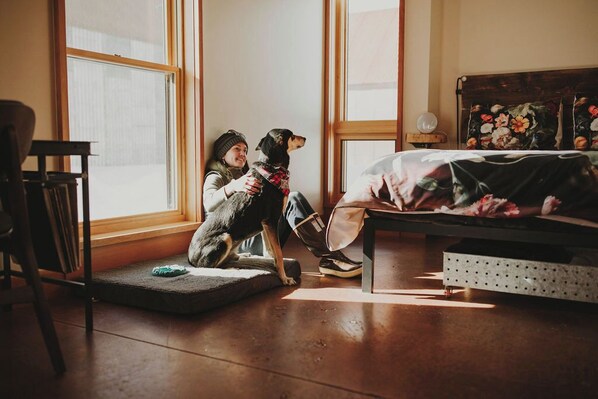 1 dormitorio, tabla de planchar con plancha, wifi y ropa de cama