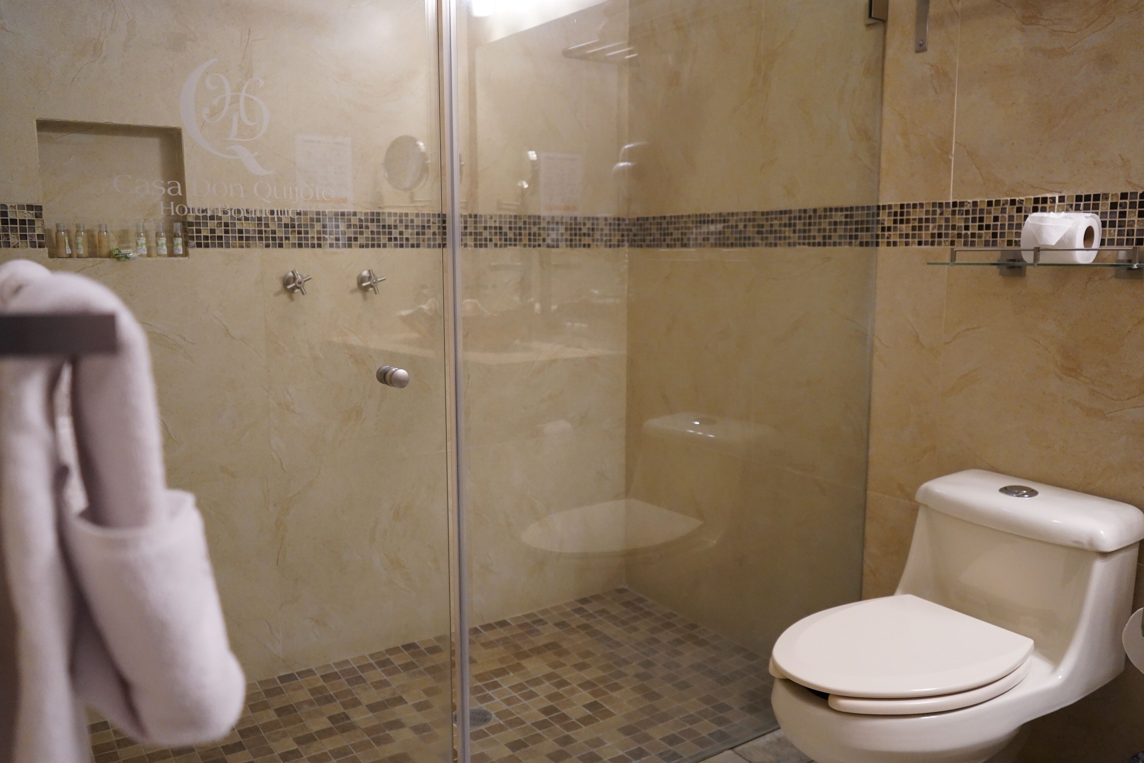A bathroom with a glass-enclosed shower, a toilet, and a shelf with toiletries.
