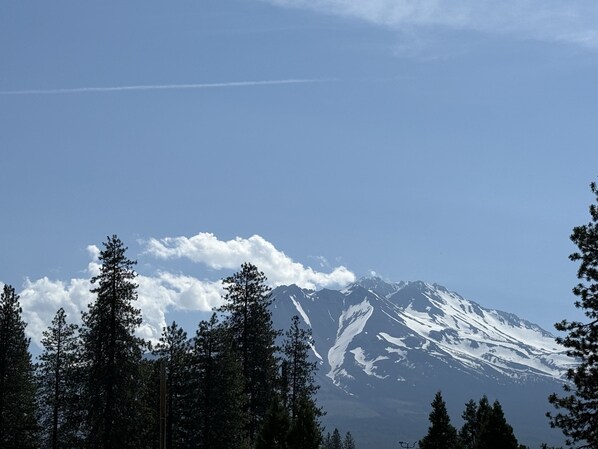 الإطلالة من المنشأة