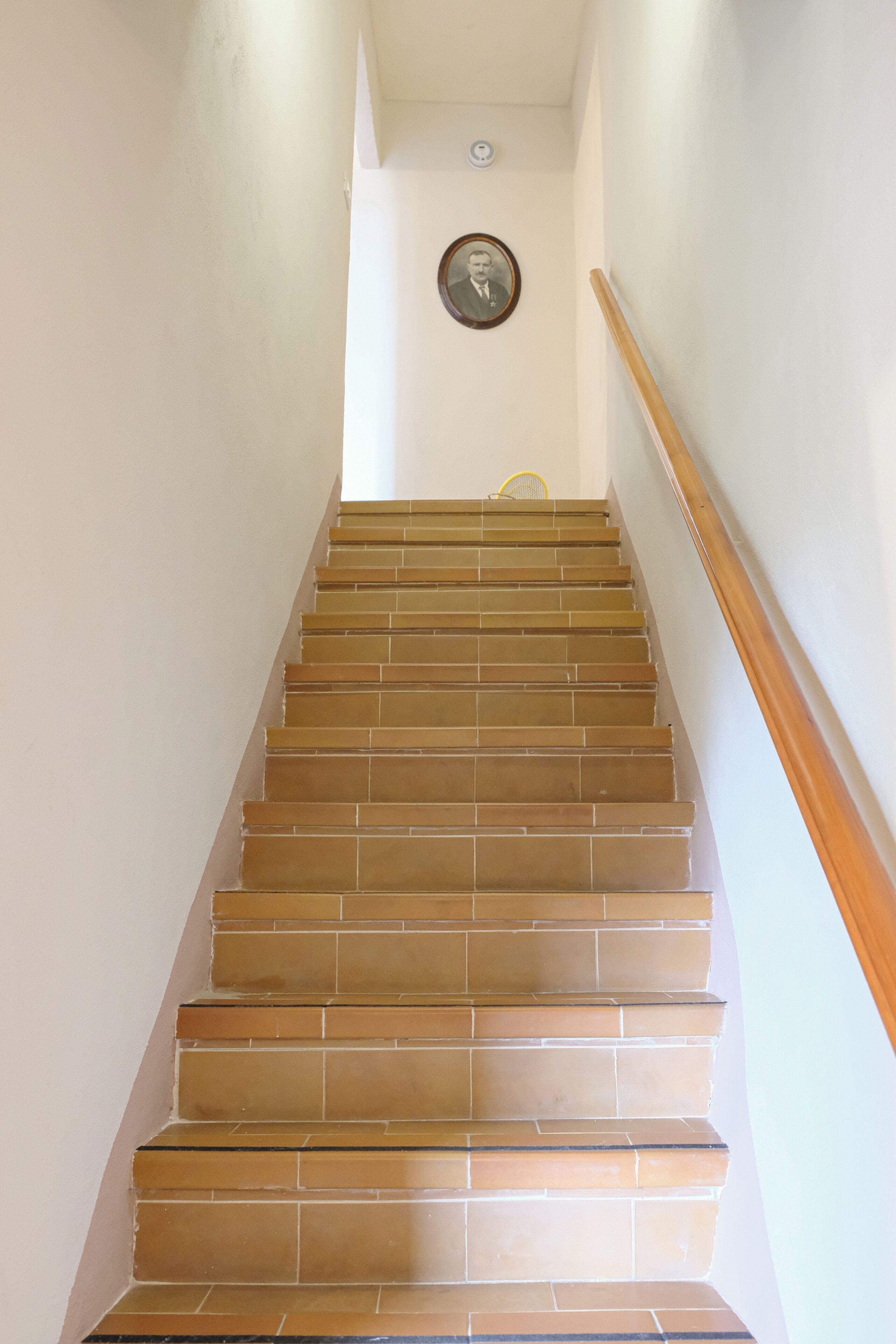 A staircase with brown tiles and a wooden handrail.