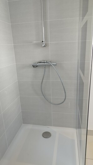 Shower, hair dryer, soap, toilet paper