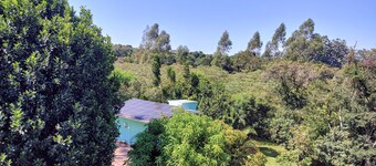 (1) Nature Apartment near Iguazu Falls! Good for working online