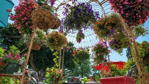 Ein Garten mit hängenden Blumenkörben, einem Tisch und Stühlen.