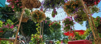 The Mackinaw Suite, Private entrance, Fully Furnished, King Bed, 1861 Victorian