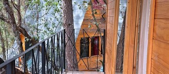 Cabaña Orquidea at Casa Elba