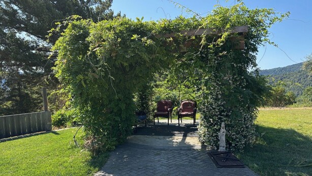 A garden pathway leading to a seating area with chairs under a vine-covered arbor. - Furnished Studio with washer and dryer, and pool! (Ukiah)