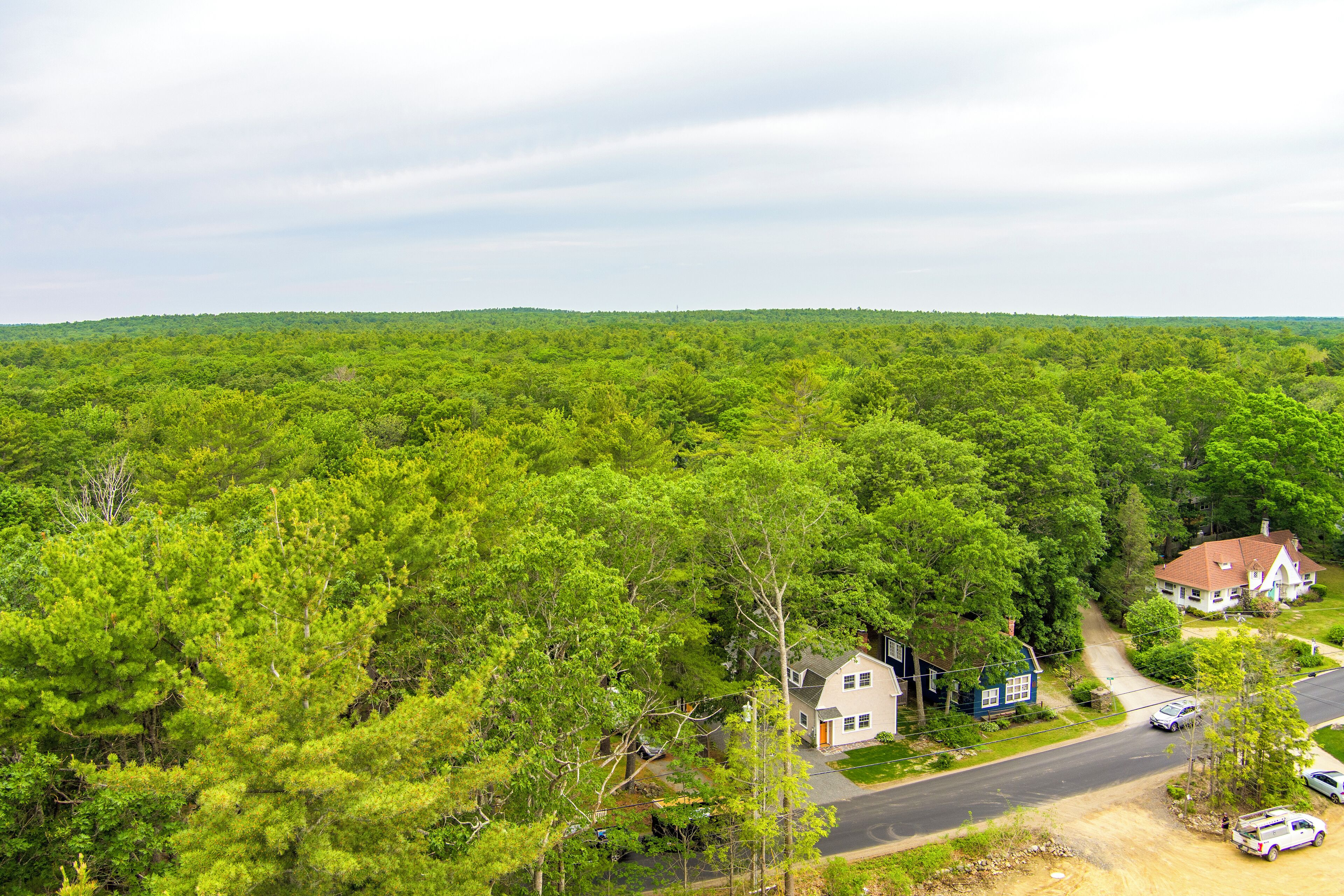 A residential area with houses surrounded by dense green forest.