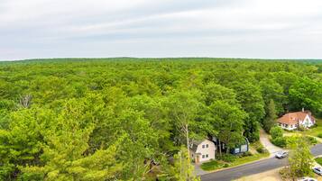 A residential area with houses surrounded by dense green forest.