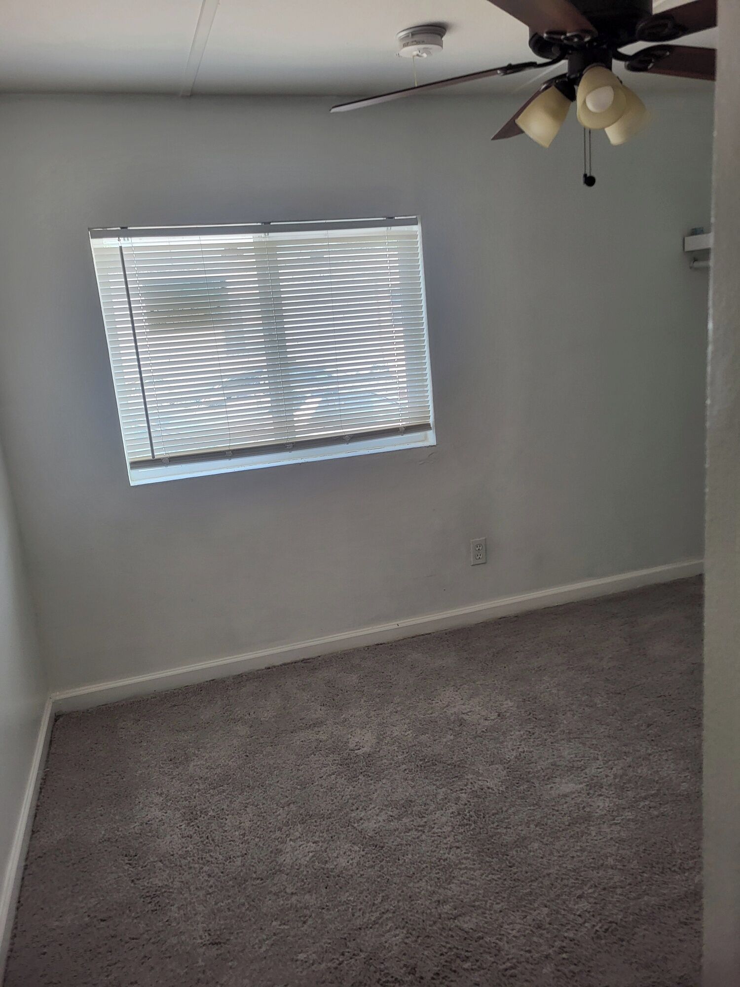 A room with a ceiling fan, a window with blinds, and a carpeted floor.