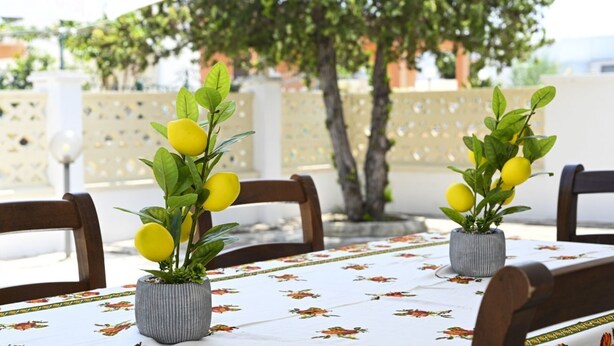 Ein Essbereich im Freien mit zwei Kübelzitronen auf einem Tisch mit einem Blumenmuster bedeckter Tischdecke.
