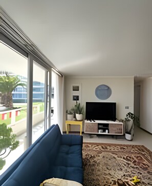 TV