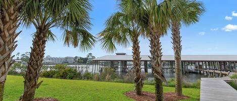 A waterfront property with palm trees, a grassy lawn, and a dock leading to a building with a metal roof.