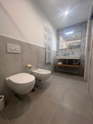 Assecador de cabells, bidet, tovalloles i paper higiènic