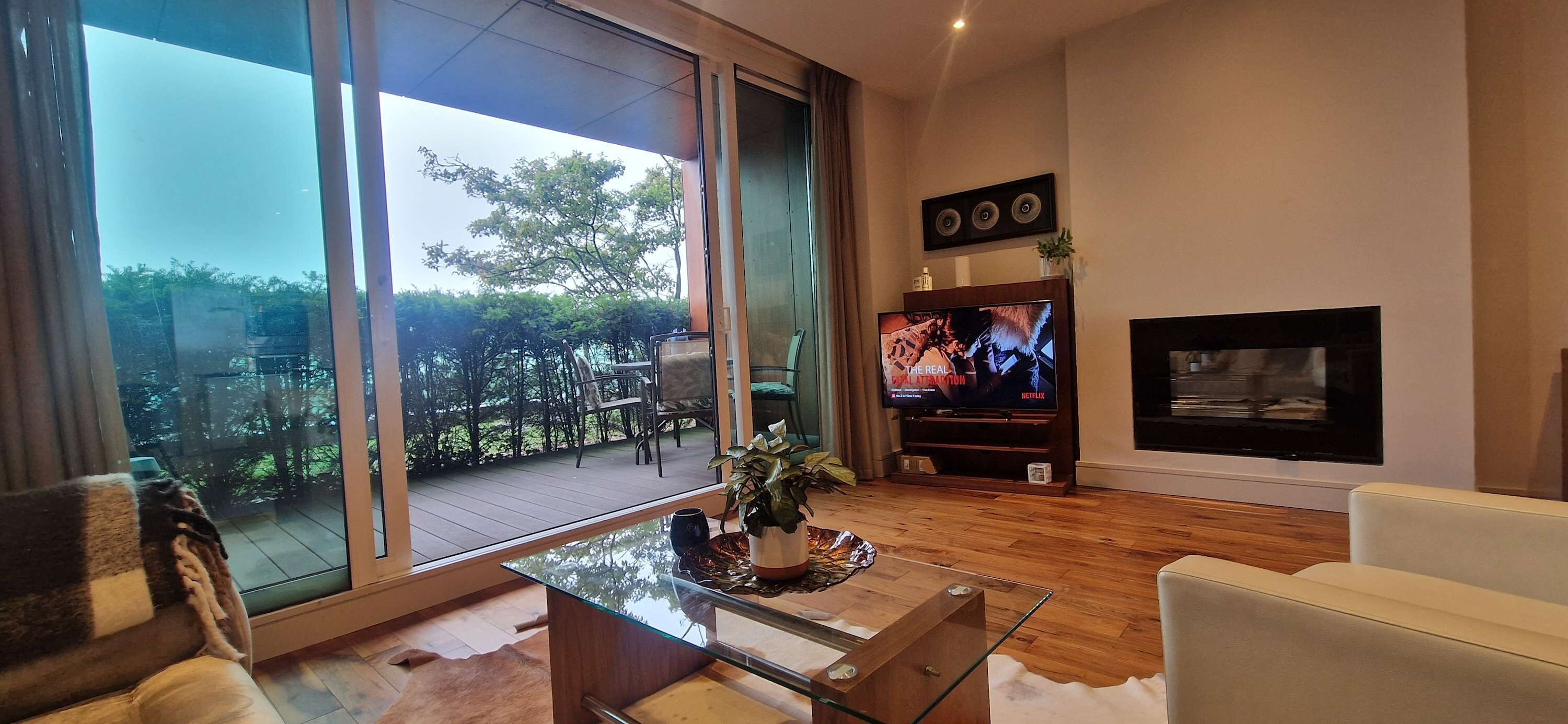 TV, fireplace