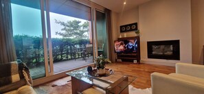 TV, fireplace