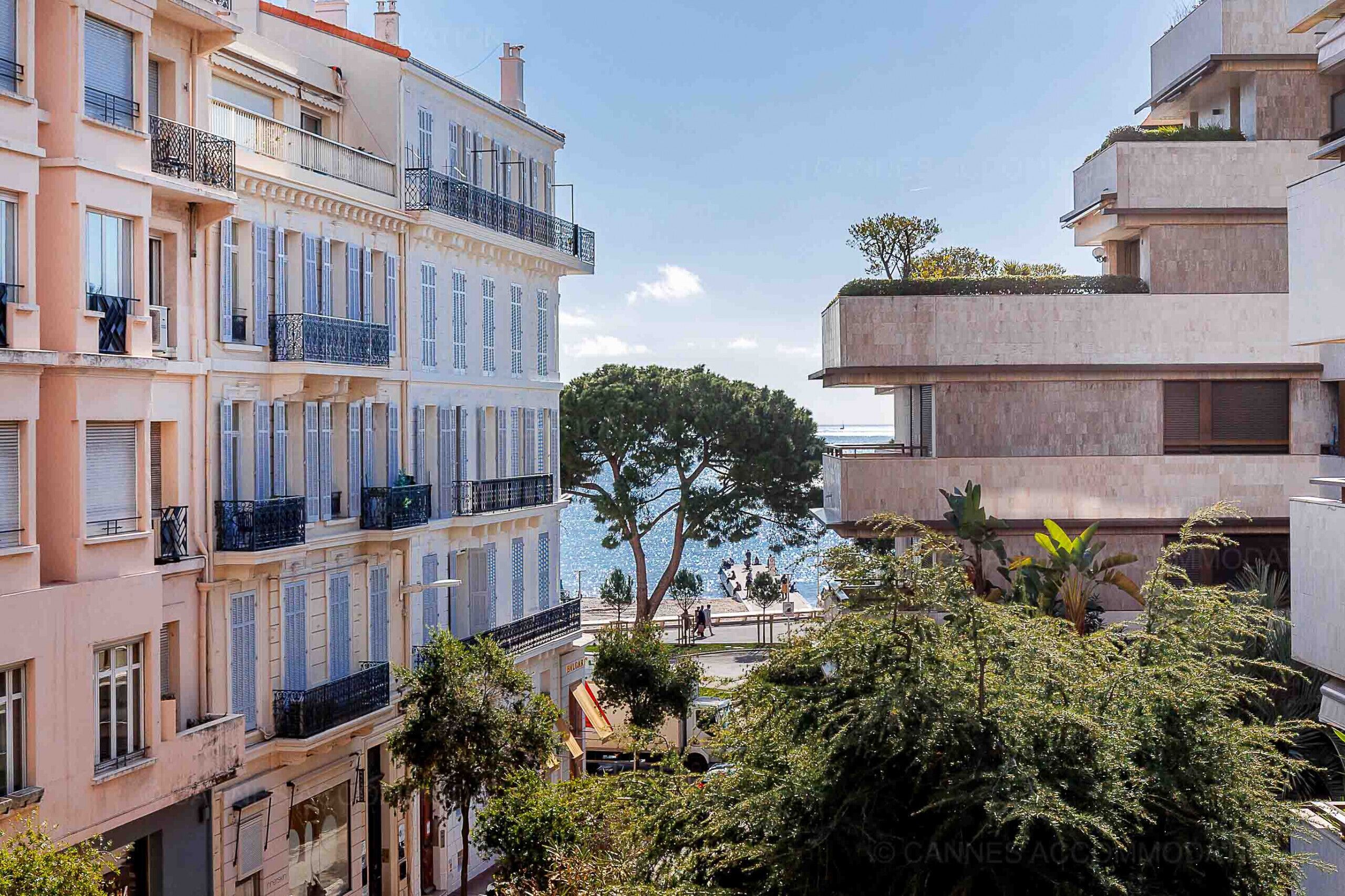 Un edificio de varios pisos con balcones, un árbol en primer plano y vista al mar.