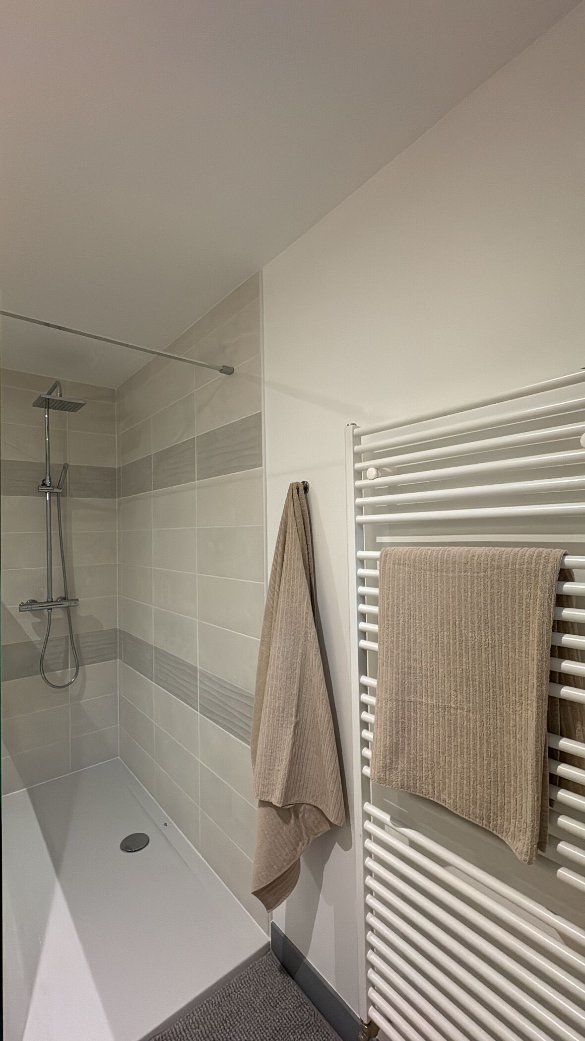 A bathroom with a glass shower enclosure, a towel rack with a towel, and a white radiator.