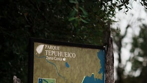 Eine Karte des Parque Tepuhueicco Zona Costa mit markierten Wegen, einem Fluss und einer Küstenregion.