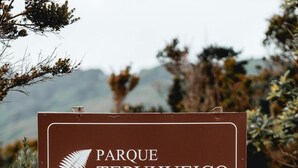 Schild für den Parque Tepuhueico in Zona Costa.