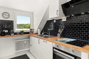 Fridge, oven, stovetop, dishwasher