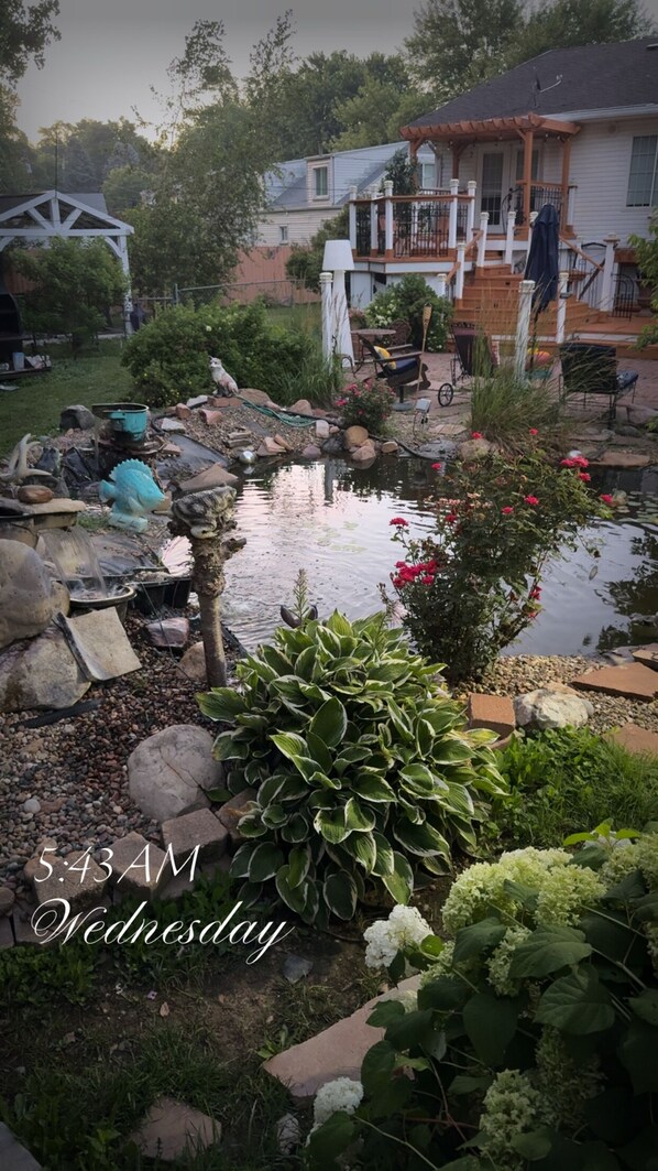 Overnattingsstedets uteområder