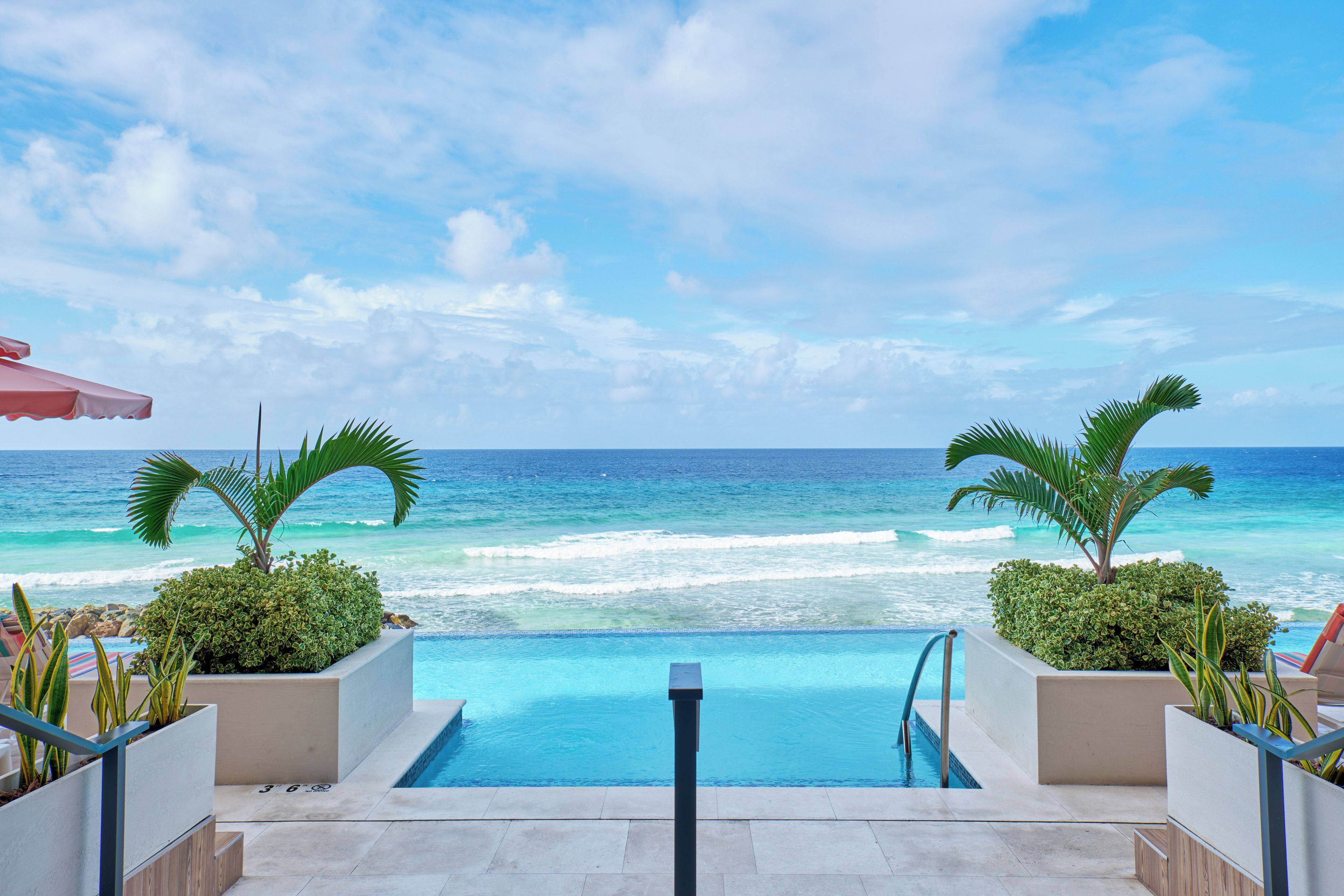 A pool with a view of the ocean, surrounded by plants and a clear sky.