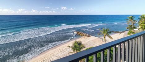 A beach view from a balcony with a railing, ocean waves, and palm trees.