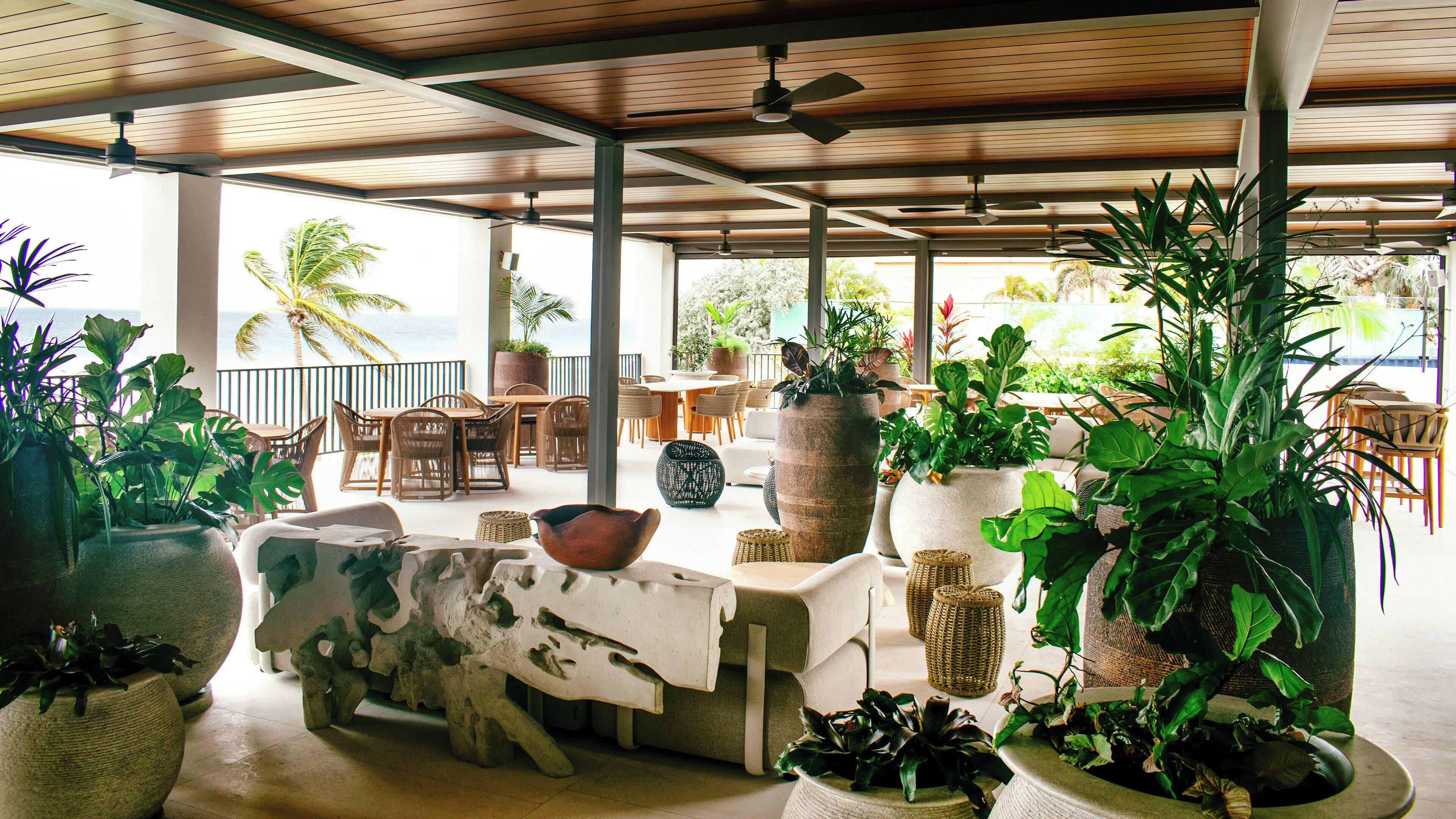Un espace extérieur abrité, aménagé avec des tables, des chaises et des plantes en pot.
