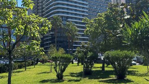 Un moderno grattacielo con facciata curva, circondato da un'area verde curata con alberi e arbusti.