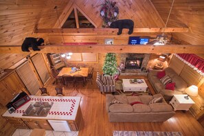 TV, fireplace, video games