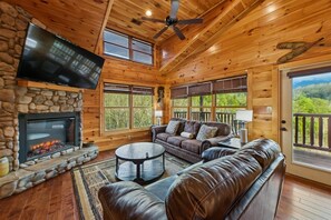 Televisión, chimenea y videojuegos 