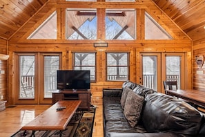 Televisio, takka, videopelejÀ